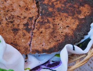 Encuentro Yurucurindas Encuentro Yurucurindas