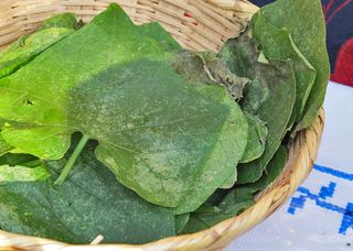 Encuentro Benedicta Servilletas Encuentro Benedicta Servilletas