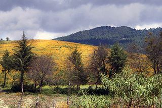Capula Countryside Capula Countryside
