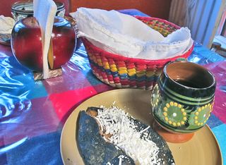 LaM Tlacoyo LaM Tlacoyo