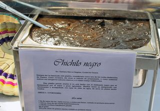 DK Chichilo Negro El Cardenal DK Chichilo Negro El Cardenal