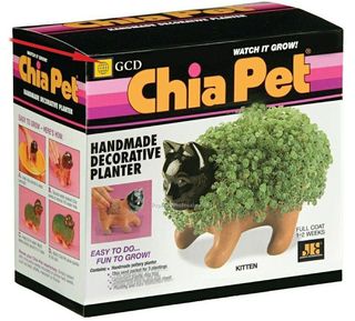 Yoghurt 10 Kitten-Chia-Pet_20090797639 Yoghurt 10 Kitten-Chia-Pet_20090797639