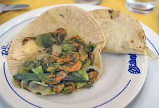 Titita Tacos de Flor de Calabaza Titita Tacos de Flor de Calabaza