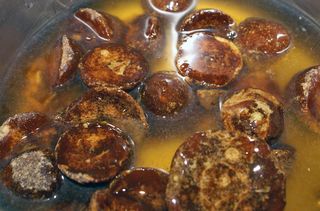 Alegrías Piloncillo and Honey Mix