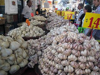 Recorrido Ajos con Yuri 2 Recorrido Ajos con Yuri 2