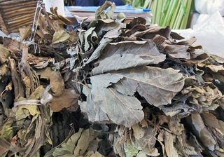 Recorrido Hoja de Aguacate 2 Recorrido Hoja de Aguacate 2