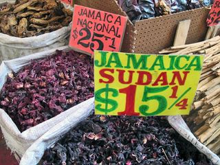 Recorrido Jamaica Nacional y Sudan Recorrido Jamaica Nacional y Sudan