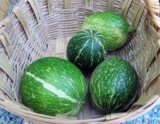 Mercado 100 Chilacayote Mercado 100 Chilacayote