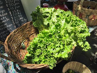 Mercado 100 Lechugas Mercado 100 Lechugas