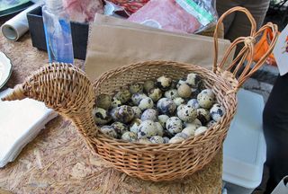 Mercado 100 Huevo de Codorniz Mercado 100 Huevo de Codorniz