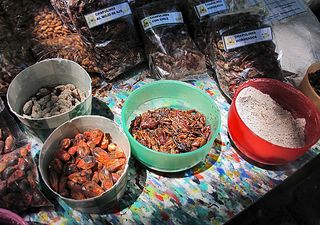 Mercado 100 Chapulines y Maíz Mercado 100 Chapulines y Maíz