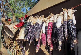 Encuentro Mazorcas Hilo Rojo Encuentro Mazorcas Hilo Rojo