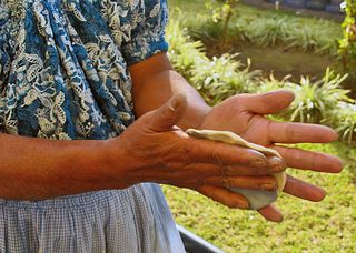 Encuentro Manos en la Masa Encuentro Manos en la Masa