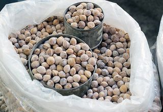 Huesos salados de capulín, Mercado la Merced Huesos salados de capulín, Mercado la Merced