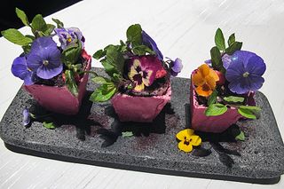 Mesamérica 3 Paulina Abasacal Macetitas