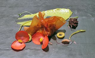 Mesamérica 3 BIKO 2