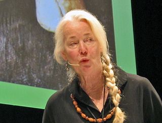 Mesamérica 2 Connie Green Hongos Silvestres Mesamérica 2 Connie Green Hongos Silvestres