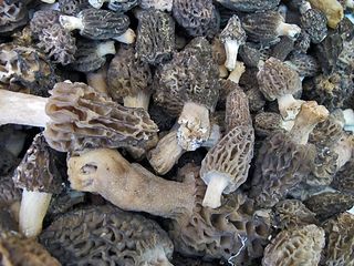 Mercado SJ Morels de Michoacán Mercado SJ Morels de Michoacán