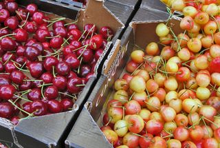 Paris Marché d'Aligre Two Kinds of Cherries Paris Marché d'Aligre Two Kinds of Cherries