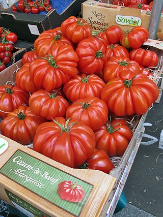 Paris Marché d'Aligre Coeur de Boeuf Tomatoes Paris Marché d'Aligre Coeur de Boeuf Tomatoes