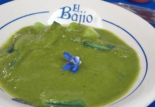Bajío Mole Verde con Verduras Bajío Mole Verde con Verduras
