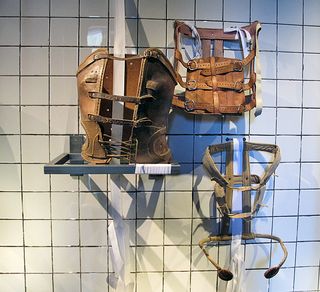 Frida Corsets Varios Frida Corsets Varios