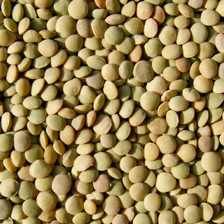 Lentils