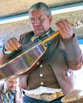 DF Xochimilco Trajinera Vihuela Player