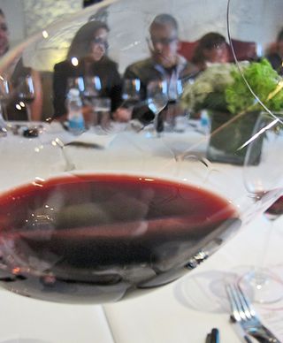 IZOTE Copa con Piernas