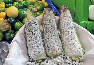 Amble Huitlacoche y Tomate Verde Amble Huitlacoche y Tomate Verde