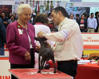 Judge Elaine Young and Xolo Judge Elaine Young and Xolo