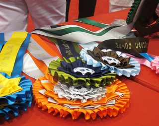 Dog Show Ribbons Dog Show Ribbons
