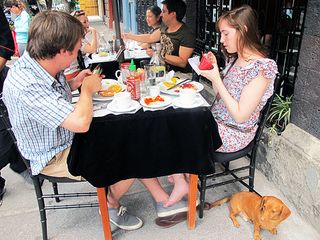 Spice Everywhere Pancho's Happy Too Spice Everywhere Pancho's Happy Too