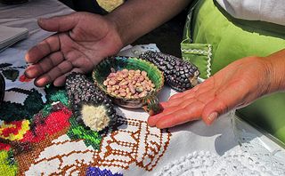 Encuentro Cuatro Elementos