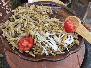 Encuentro Charales Fritos Antonina Encuentro Charales Fritos Antonina