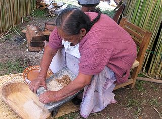 Encuentro Grind Wheat Encuentro Grind Wheat