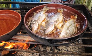 Encuentro Trucha Dorada Encuentro Trucha Dorada