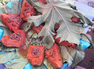 Zaachila Calabaza en Tacha con Hoja Zaachila Calabaza en Tacha con Hoja