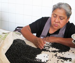 Oaxaca Mercado 20 de noviembre Limpiando Frijol Oaxaca Mercado 20 de noviembre Limpiando Frijol