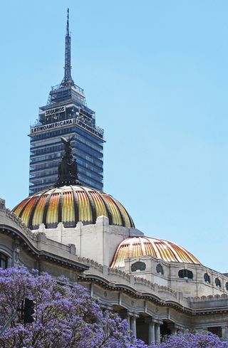 Bellas Artes con Jacaranda 11-03-2014 Bellas Artes con Jacaranda 11-03-2014