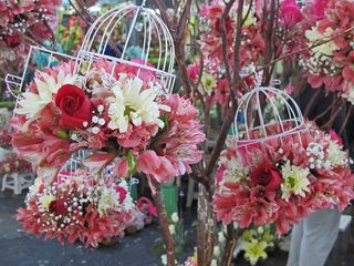 Alstromeria in Cages Alstromeria in Cages