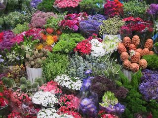 Flores Mixtas Flores Mixtas