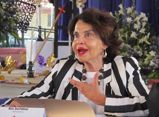 Encuentro Ana Pellicer Ponencia