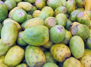 Bonjour Paris Tunas Bonjour Paris Tunas