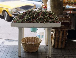 Guamuchiles vendor BERE Guamuchiles vendor BERE