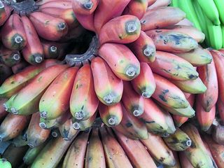 Jamaica Plátanos Morados Jamaica Plátanos Morados