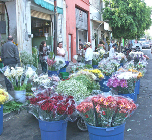 Mercado_flores Mercado_flores