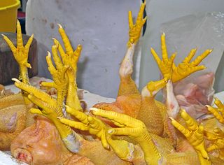 Mercado Patas de Pollo Mercado Patas de Pollo