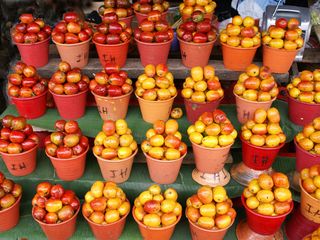 Indian Market...Plums