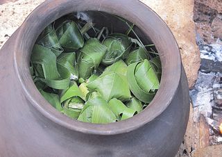 Zirita Corundas in the Olla